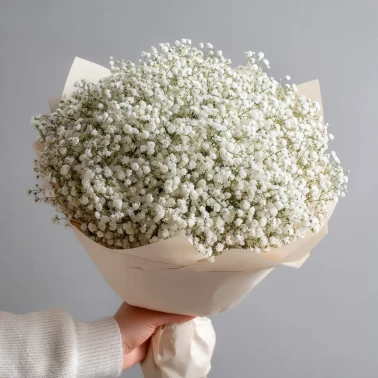 Монобукет из белой гипсофилы
