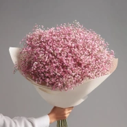 Монобукет из розовой гипсофилы 0