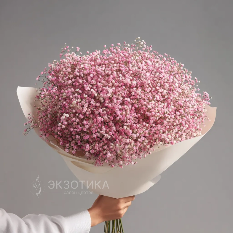 Монобукет из розовой гипсофилы