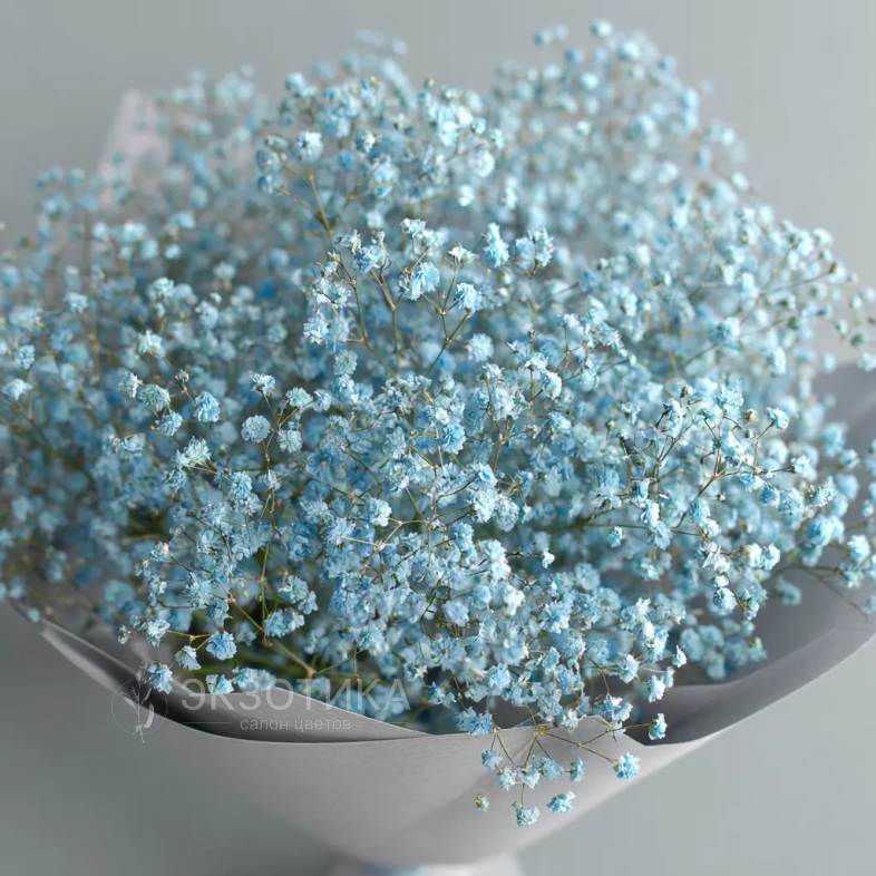 Монобукет из голубой гипсофилы