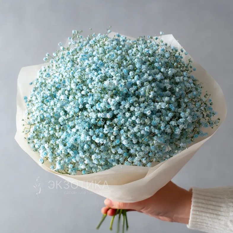 Монобукет из голубой гипсофилы