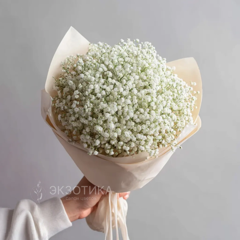 Монобукет из гипсофилы &laquo;Лёгкий штрих&raquo;