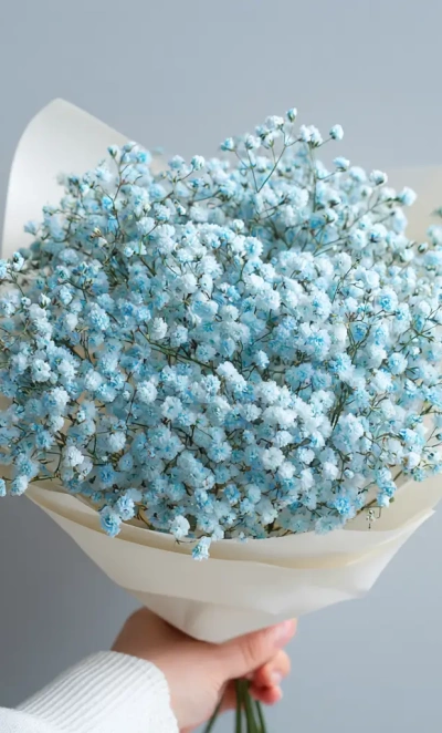 Монобукет из гипсофилы «Лунный свет»