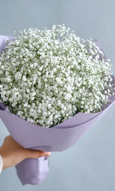 Монобукет из гипсофилы «Облачная нега»