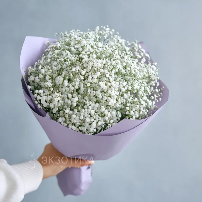 Монобукет из гипсофилы &laquo;Облачная нега&raquo;