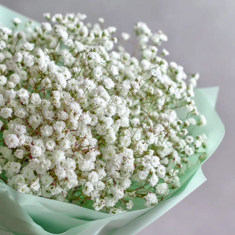 Монобукет из гипсофилы &laquo;Молочная вуаль&raquo;