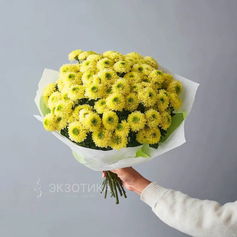 Монобукет из хризантем &laquo;Солнечное касание&raquo;