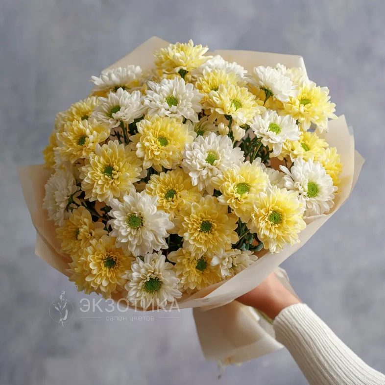 Монобукет из хризантем &laquo;Подарок сентября&raquo;