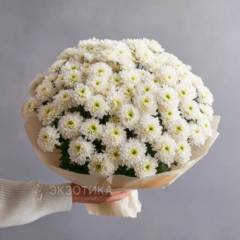 Монобукет из хризантем &laquo;Белое облако&raquo;