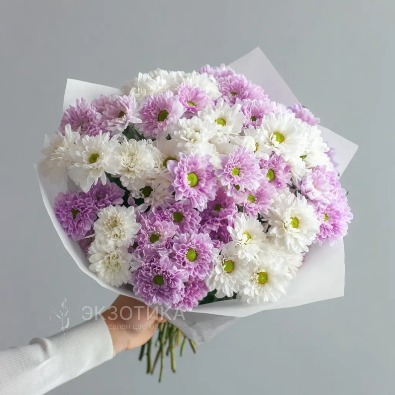 Монобукет из хризантем &laquo;Нежный комплимент&raquo;