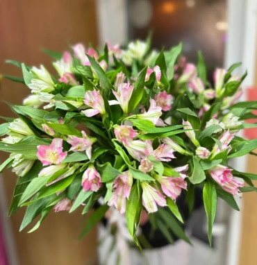 Альстромерия поштучно 