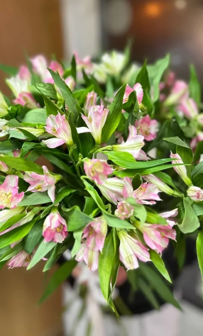 Альстромерия поштучно 