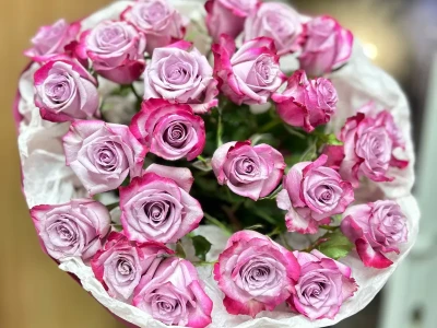 Букет из роз «Северная прохлада»