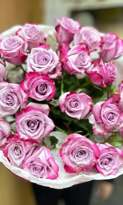 Букет из роз «Северная прохлада»