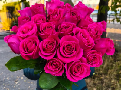 Букет из 25 роз «Пинк»