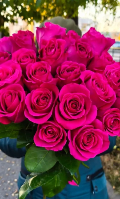 Букет из 25 роз «Пинк»