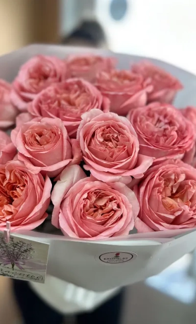 Букет из 15 пионовидных роз «Рассвет»