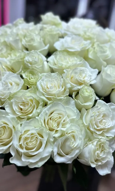 Букет из 51 белой розы «Миледи»